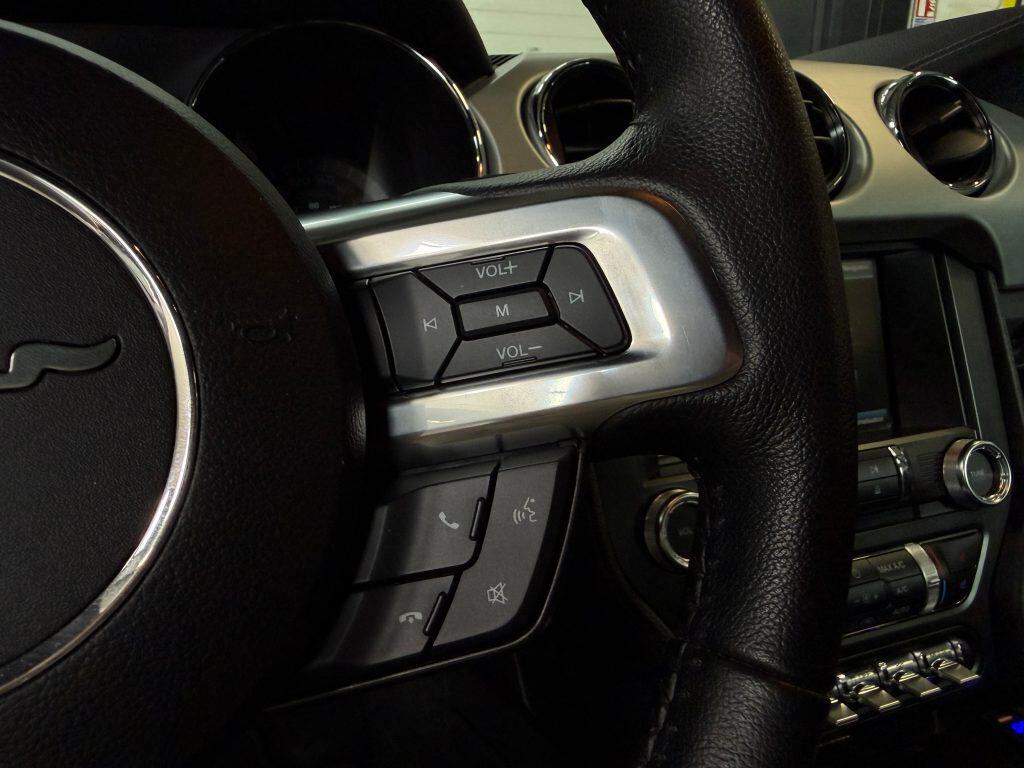 Ford_Mustang_GT_BC_37