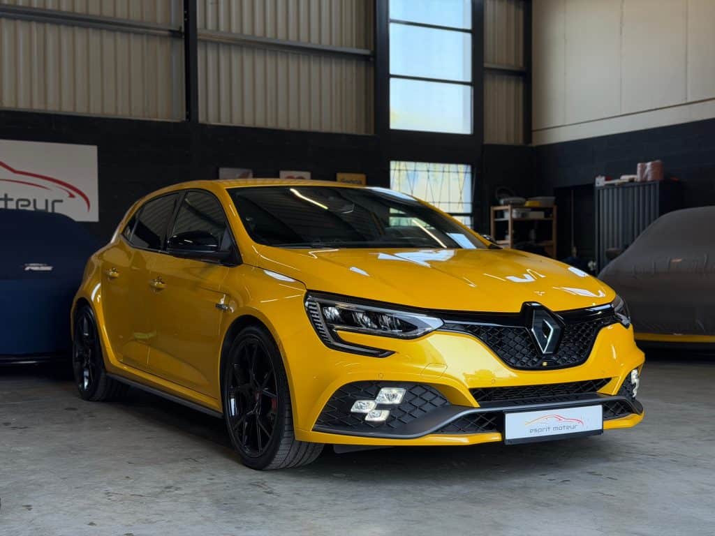 Megane_Trophy_293_1