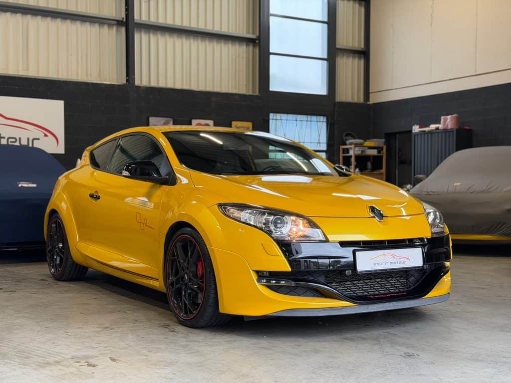 Renault_Megane_3_Trophy 1