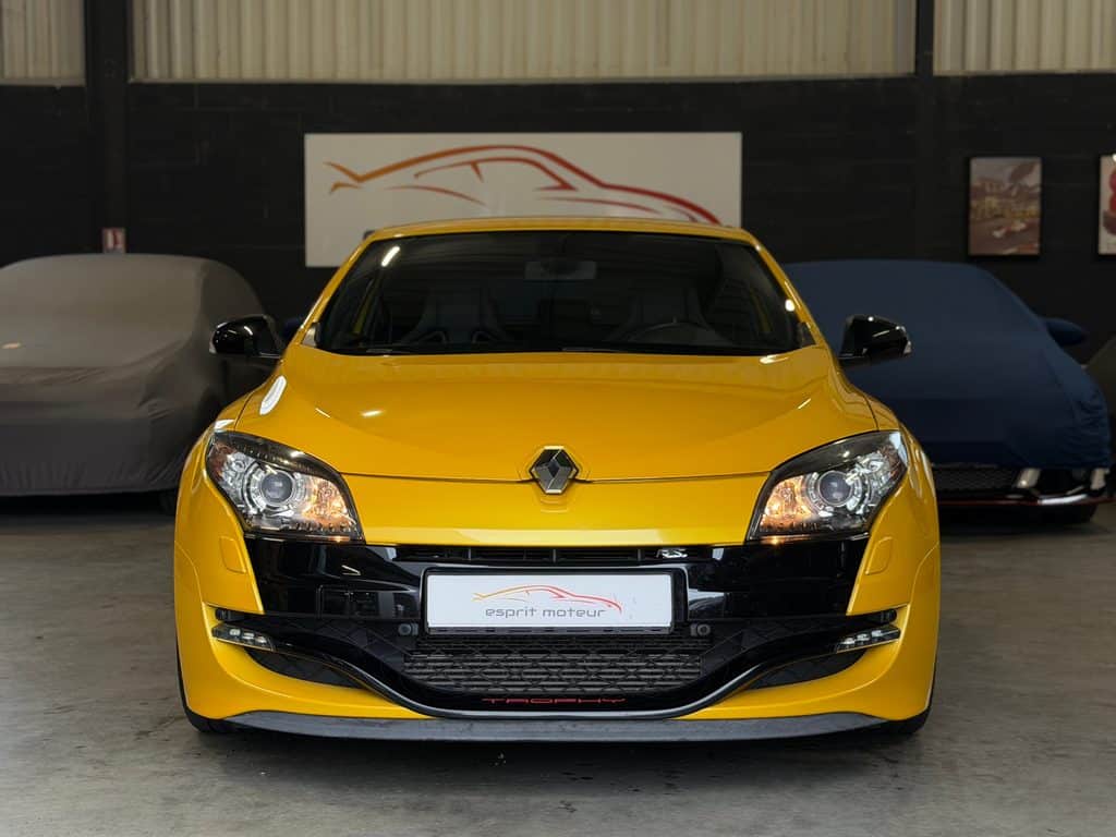 Renault_Megane_3_Trophy _2