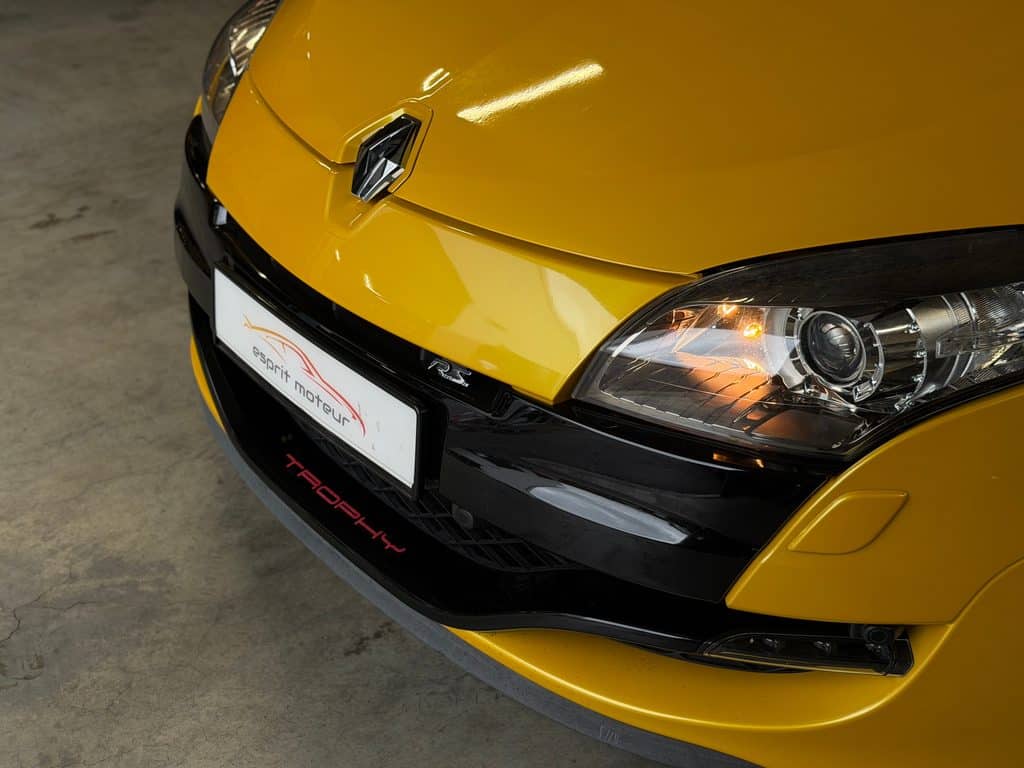 Renault_Megane_3_Trophy _4