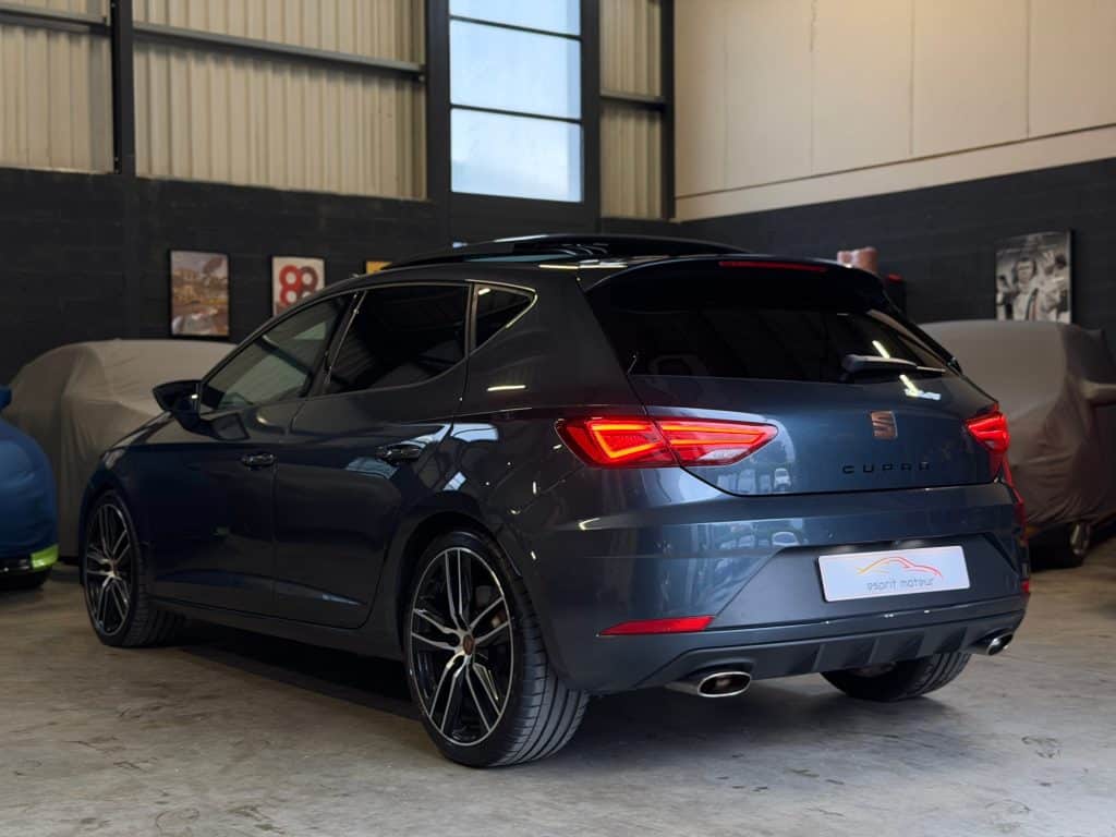 Seat_Leon_Cupra_5F_316 _14